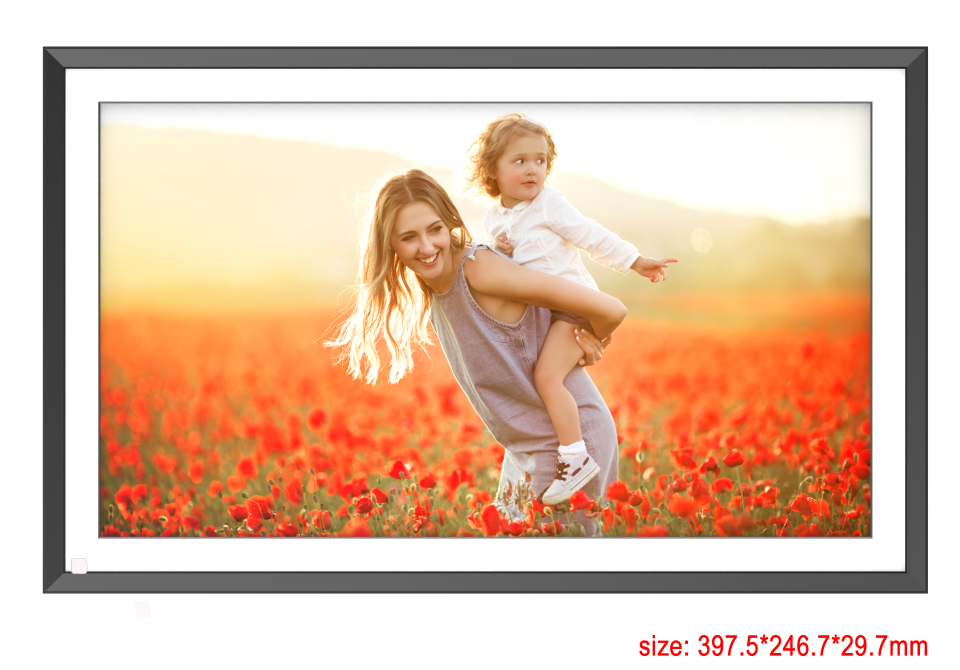 PF1501 - 15.6'' Digital Photo Frame Multi-Function with Remote