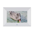 PF7006 - 7'' Digital Photo Frame with IPS panel, Remote  and 8 G internal memory