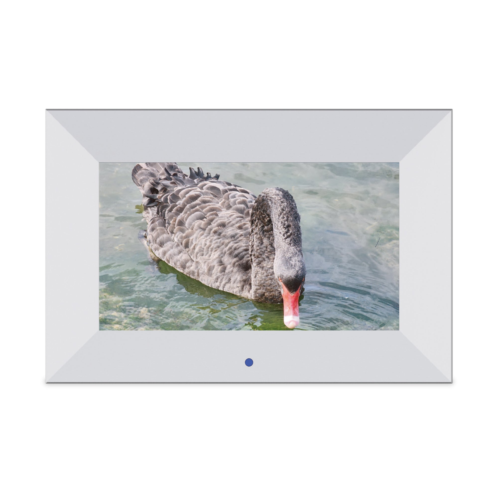 PF7006 - 7'' Digital Photo Frame with IPS panel, Remote  and 8 G internal memory