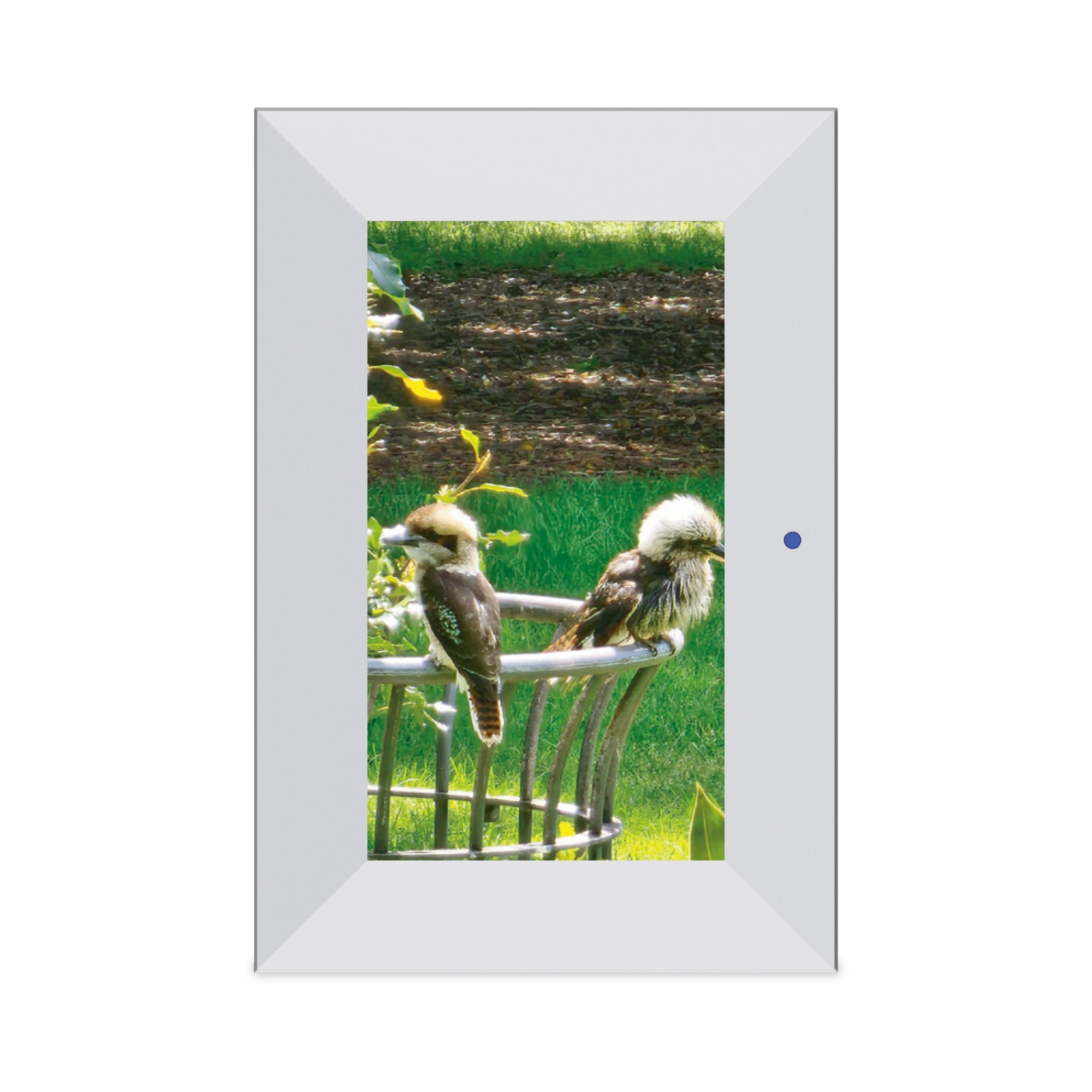 PF7006 - 7'' Digital Photo Frame with IPS panel, Remote  and 8 G internal memory